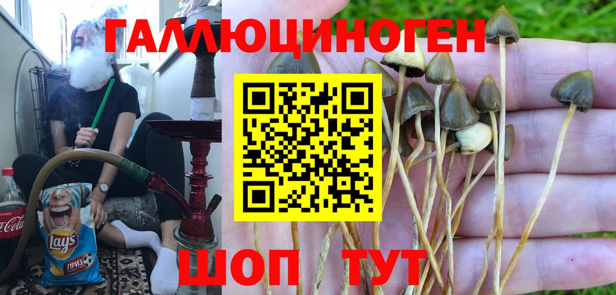 Псилоцибиновые грибы MAGIC MUSHROOMS Трёхгорный