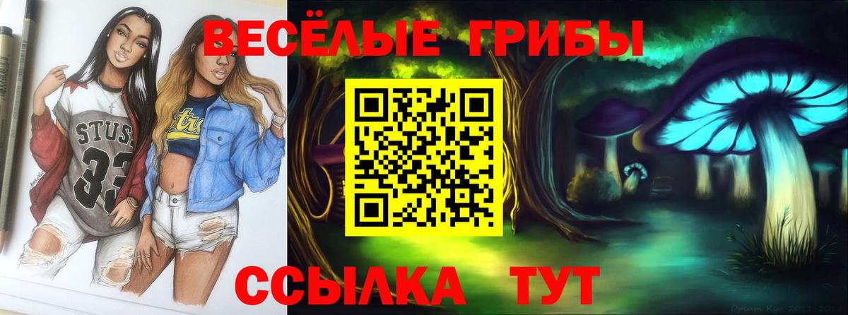 Трёхгорный  Псилоцибиновые грибы прущие грибы  Вход с VPN 